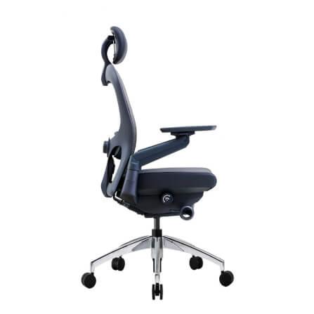 เก้าอี้เพื่อสุขภาพ DF PROCHAIR รุ่น Wonder-H สีดำ_3